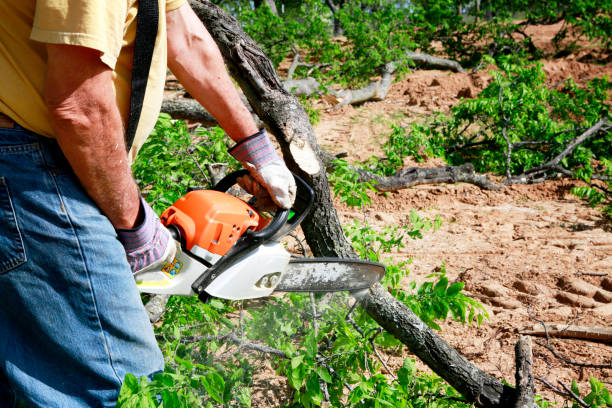 Lawn Grading and Leveling in Loganville, PA